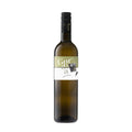 Gordia Malvasia 2024