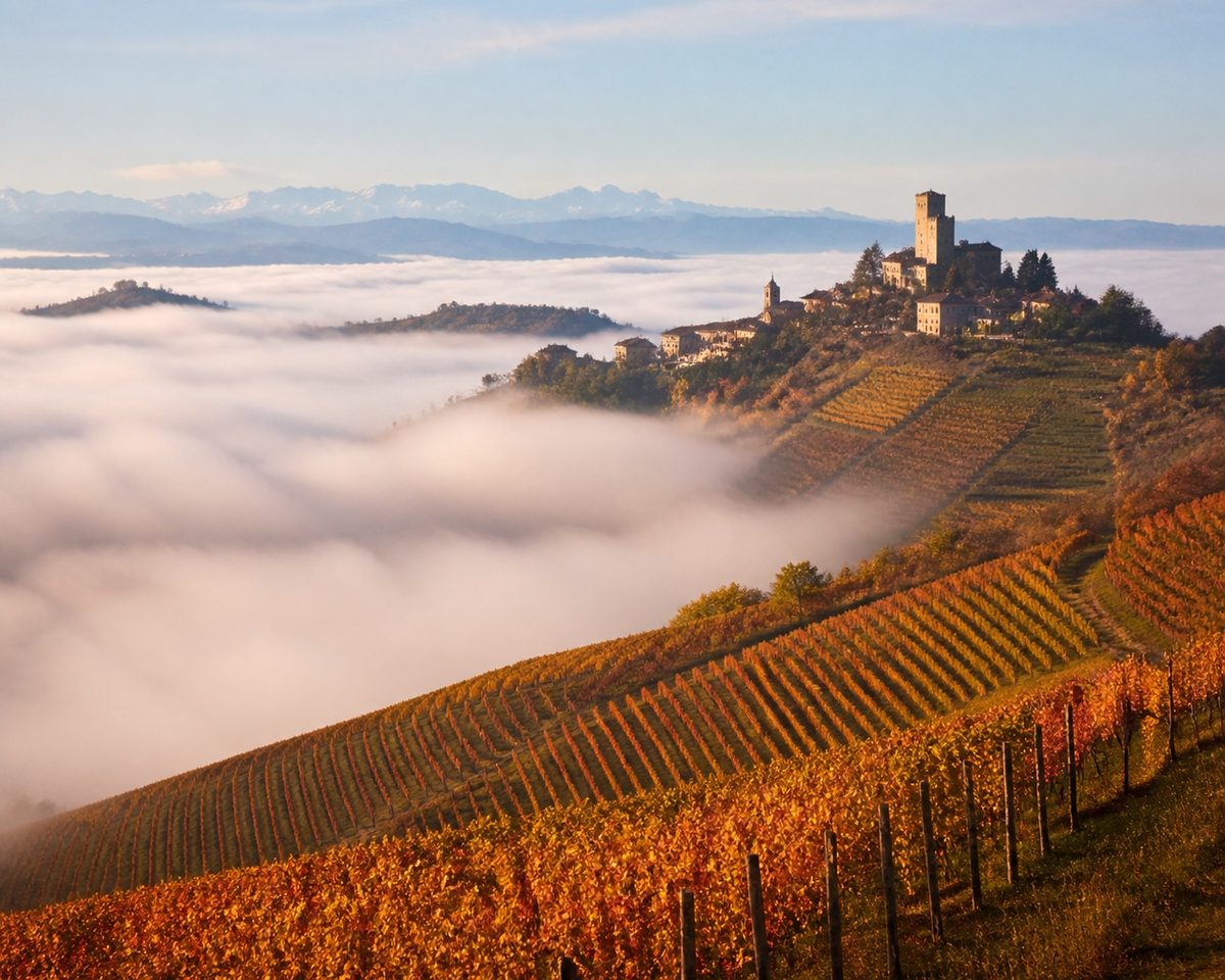 Fog-filled Langhe hills of Piedmont