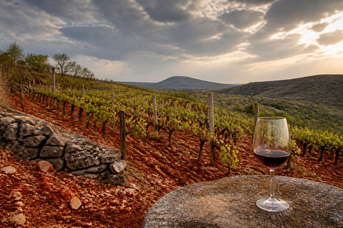 Slovenian wine region